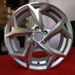 ג’אנט 15 – 5X100 גימור Silver Polished